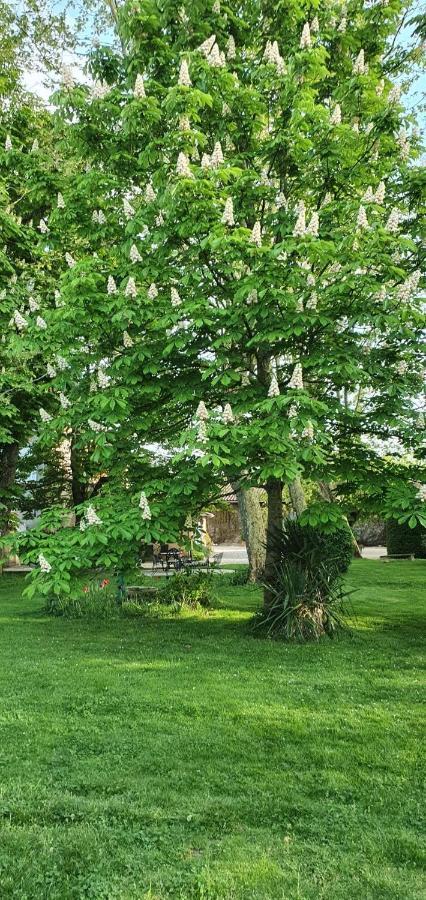 B&B Le Domaine Des Marcoujans Saint-Elix-le-Chateau Esterno foto